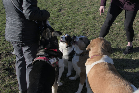 20250409_Dog Park_DSC_0146_.jpg