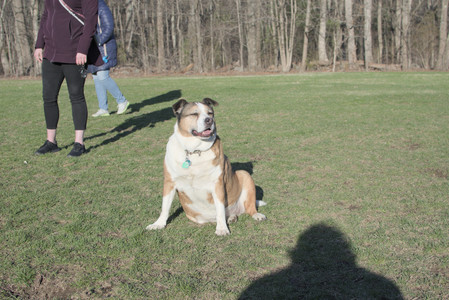 20250409_Dog Park_DSC_0150_.jpg