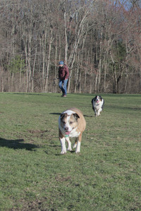 20250409_Dog Park_DSC_0156_.jpg