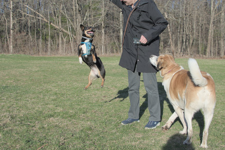 20250409_Dog Park_DSC_0165_.jpg
