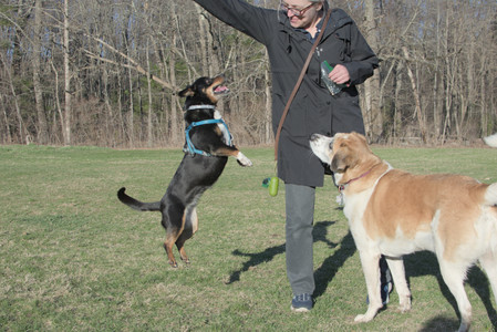 20250409_Dog Park_DSC_0166_.jpg