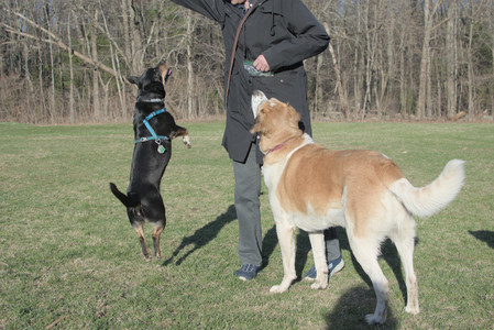 20250409_Dog Park_DSC_0167_.jpg