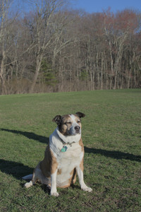 20250409_Dog Park_DSC_0175_.jpg