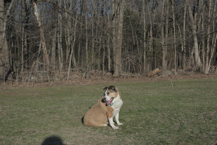 20250409_Dog Park_DSC_0191_.jpg