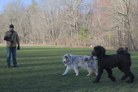 20250409_Dog Park_DSC_0199_.jpg
