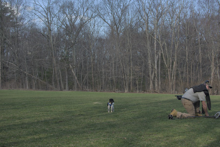 20250415_Cats and Dog park_DSC_0097_.jpg