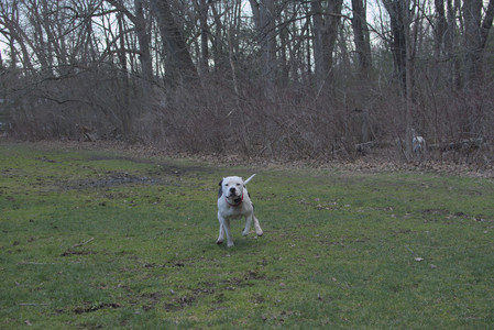 20250415_Cats and Dog park_DSC_0126_.jpg