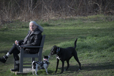 20250416_Dog Park with New Long Lens_DSC_0130_.jpg