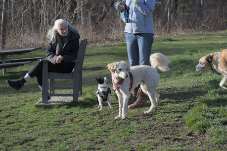 20250416_Dog Park with New Long Lens_DSC_0135_.jpg