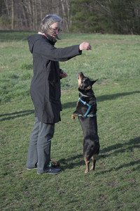 20250416_Dog Park with New Long Lens_DSC_0142_.jpg