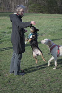 20250416_Dog Park with New Long Lens_DSC_0143_.jpg