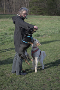20250416_Dog Park with New Long Lens_DSC_0144_.jpg