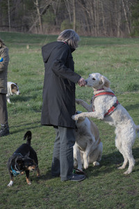 20250416_Dog Park with New Long Lens_DSC_0145_.jpg