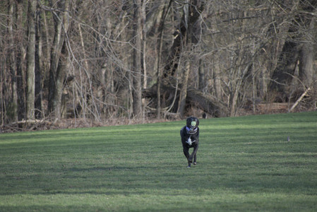 20250416_Dog Park with New Long Lens_DSC_0147_.jpg