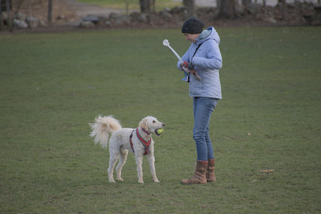 20250416_Dog Park with New Long Lens_DSC_0164_.jpg