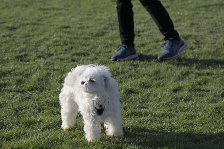 20250416_Dog Park with New Long Lens_DSC_0195_.jpg