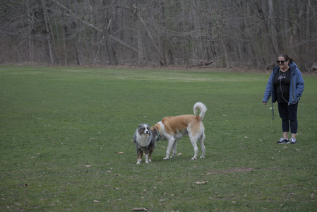 20250418_Detention Pond and Dog Park_DSC_0445_.jpg