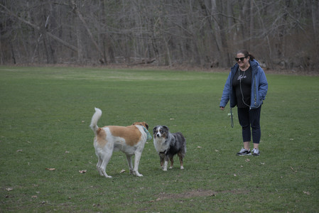 20250418_Detention Pond and Dog Park_DSC_0447_.jpg
