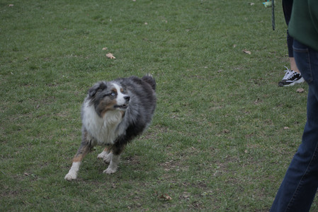 20250418_Detention Pond and Dog Park_DSC_0452_.jpg