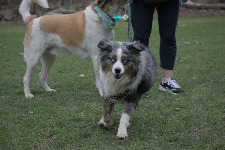 20250418_Detention Pond and Dog Park_DSC_0456_.jpg