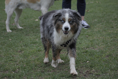 20250418_Detention Pond and Dog Park_DSC_0458_.jpg