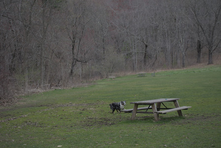 20250418_Detention Pond and Dog Park_DSC_0459_.jpg