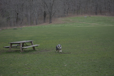 20250418_Detention Pond and Dog Park_DSC_0462_.jpg
