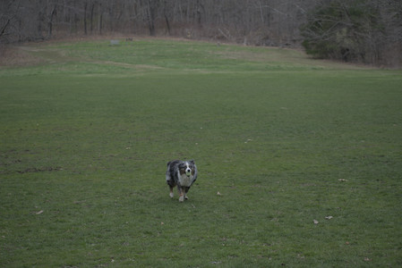 20250418_Detention Pond and Dog Park_DSC_0465_.jpg