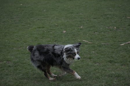 20250418_Detention Pond and Dog Park_DSC_0468_.jpg