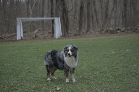 20250418_Detention Pond and Dog Park_DSC_0475_.jpg