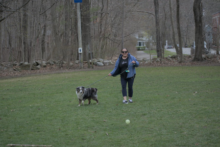 20250418_Detention Pond and Dog Park_DSC_0476_.jpg