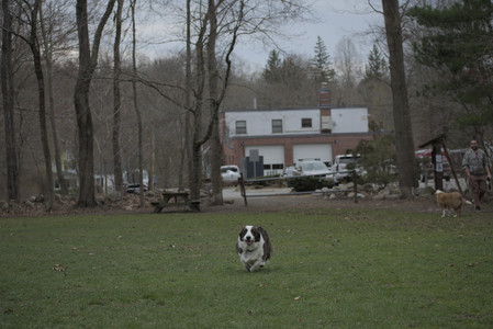 20250418_Detention Pond and Dog Park_DSC_0481_.jpg