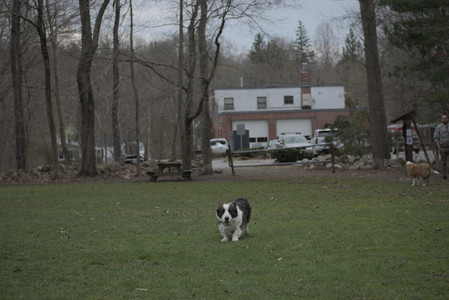 20250418_Detention Pond and Dog Park_DSC_0482_.jpg