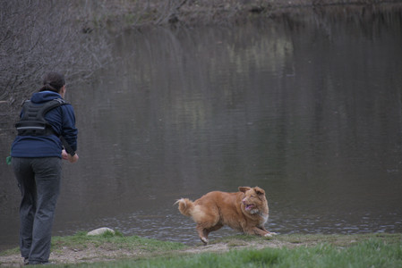 20250418_Detention Pond and Dog Park_DSC_0531_.jpg