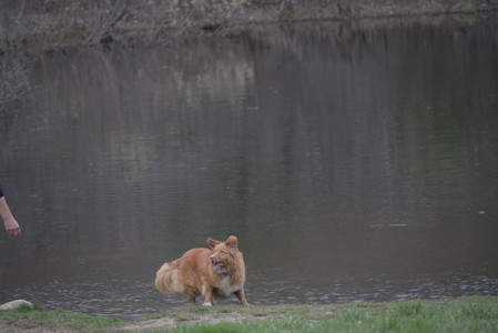 20250418_Detention Pond and Dog Park_DSC_0533_.jpg
