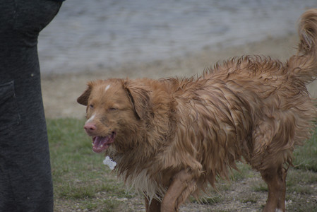 20250418_Detention Pond and Dog Park_DSC_0535_.jpg