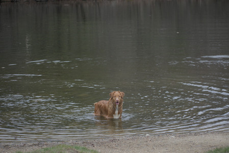 20250418_Detention Pond and Dog Park_DSC_0552_.jpg