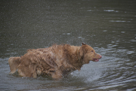 20250418_Detention Pond and Dog Park_DSC_0554_.jpg