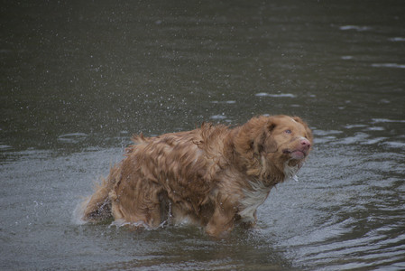 20250418_Detention Pond and Dog Park_DSC_0556_.jpg