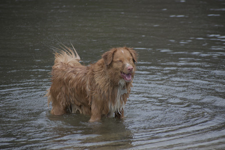 20250418_Detention Pond and Dog Park_DSC_0559_.jpg