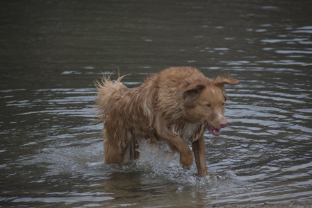 20250418_Detention Pond and Dog Park_DSC_0560_.jpg