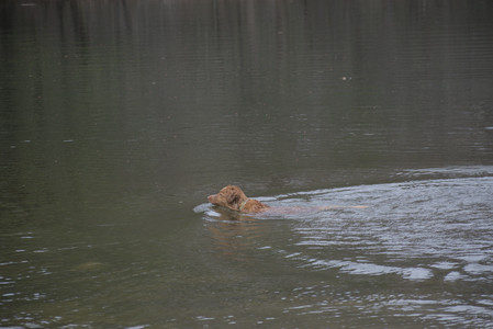 20250418_Detention Pond and Dog Park_DSC_0576_.jpg