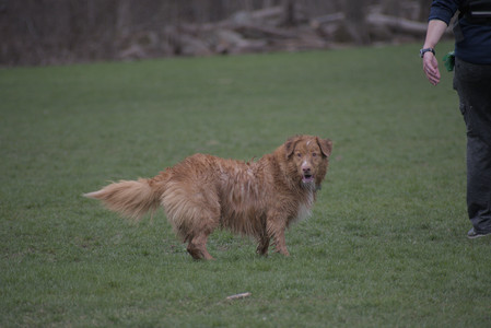 20250418_Detention Pond and Dog Park_DSC_0591_.jpg