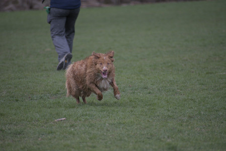 20250418_Detention Pond and Dog Park_DSC_0595_.jpg