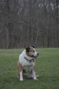 20250418_Detention Pond and Dog Park_DSC_0614_.jpg