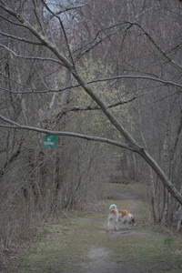 20250418_Detention Pond and Dog Park_DSC_0619_.jpg