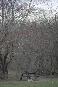 20250418_Detention Pond and Dog Park_DSC_0649_.jpg