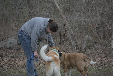 20250418_Detention Pond and Dog Park_DSC_0670_.jpg