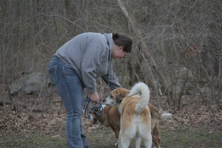20250418_Detention Pond and Dog Park_DSC_0671_.jpg