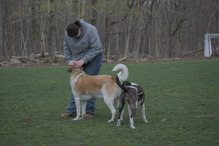 20250418_Detention Pond and Dog Park_DSC_0683_.jpg